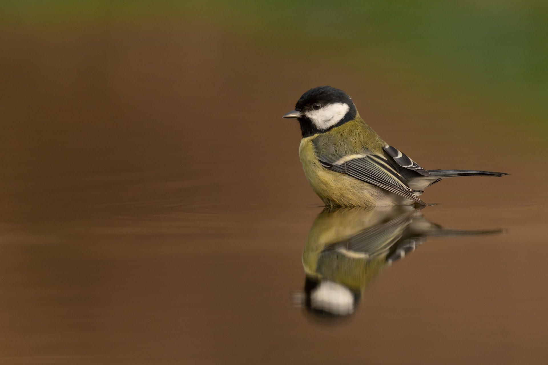 【Swift】CornerRadiusをViewの好きな位置にかける